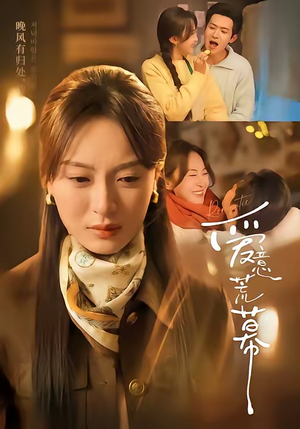 爱意荒幕（70集）爱短剧爱追剧