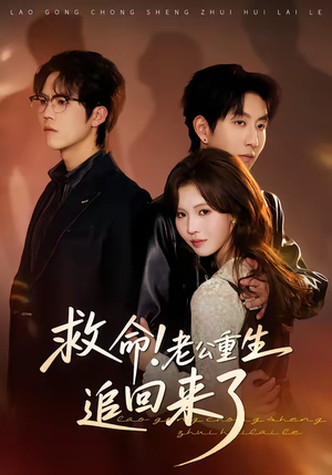 救命！老公重生追回来了（40集）短剧太上头了