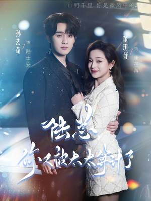 陆总，你又被太太算计了（70集）最火短剧热播中