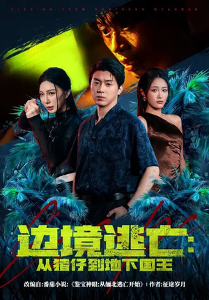 边境逃亡：从猪仔到地下国王（81集）免费观看就是爽