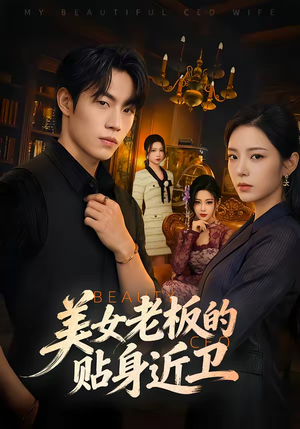 美女老板的贴身近卫（60集）全集