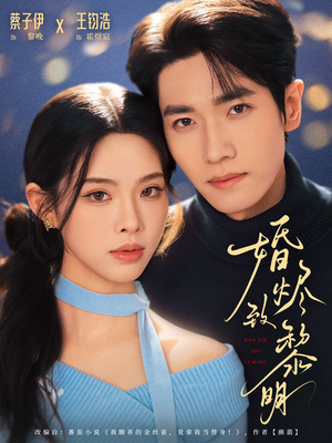 婚烬致黎明（77集）免费看短剧